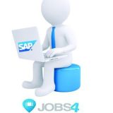 Support - SAP Consultant Group