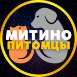 ПИТОМЦЫ 💙 МИТИНО • СЗАО | ЧАТ