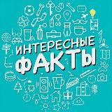 Интересные факты