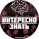Интересно знать ⌛️