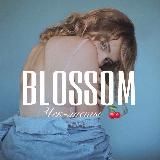 @cheklistblogger2 новый канал, вводи в поиске тeлеграма | BLOSSOM🍒 Курсы | Чек-листы