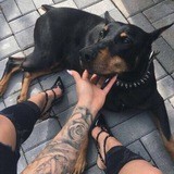 твой бывший пиздабол