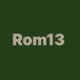 Кроссовки "Rom13"