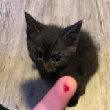 ужасные и депрессивные мемы на каждый грёбаный день