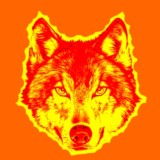 Der Sonnenwolf