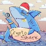 Crypto Shark 🦈