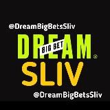 DREAM BIG BET | SLIV