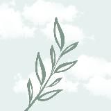 🍃 Вентиляция Начни Дышать 🍃