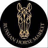 RUSSIAN HORSE MARKET® | ПРОДАЖА ЛОШАДЕЙ