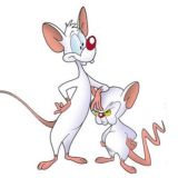 Pinky and the Brain