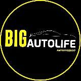 BigAutolife