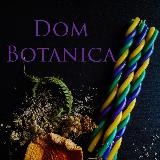 Dom_botanica