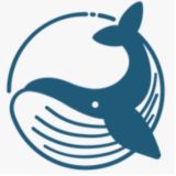 Blue Whale