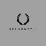 skromnyy chat