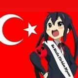 Oktavius поможет с Турецким PSN, Steam и не только