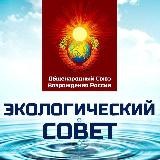 🔵 ЭКОЛОГИЧЕСКИЙ СОВЕТ