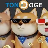 TON DOGE COIN & NFT