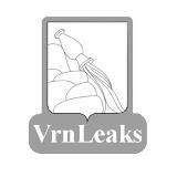 Voronezh Leaks