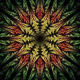 Psychedelic Videos