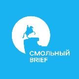 Смольный BRIEF