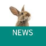 Pro.Expert NEWs - Сообщество профессионалов