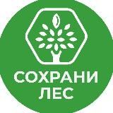 Сохрани лес 🌳