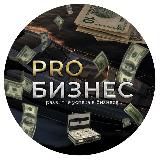 Pro Бизнес 2.0