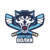 ХК "Морские волки"