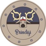 Pokémon Go Brindisi