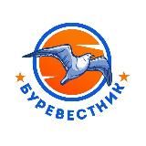 #буревестниклайф