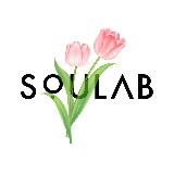 soulab.store