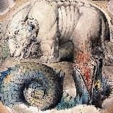 LEVIATHAN GROUP. Psywar & Osint