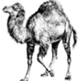 Modern::Perl