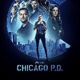 Chicago PD P.D. Season 1 - 12