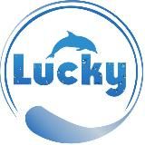 lucky.uz | Стирка Ковров