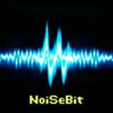 Noise Security Bit