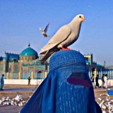 bint Muzahim🕊
