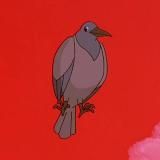 It’s a bird.