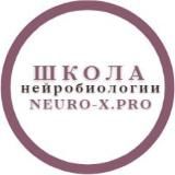 Экзекьютив Эксперт. Школа нейробиологии Neuro-X.Pro для коучей и помогающих профессионалов