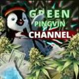 Отзывы Green Pingvinа