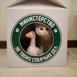 Осинская телега