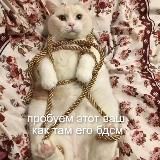 небдсмщица ⛓