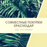 г.Краснодар п.Плодородный ЖК Квартал 6