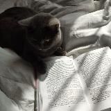 books’shop