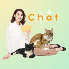 Chat | Записки юного таролога