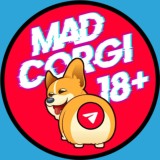 MAD CORGI 🔞