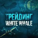 White Whale - AnatolyTrade