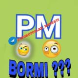 🤨PM BORMI???🔞