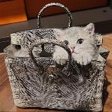 Best-Luxury_bags