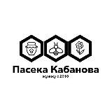 Пасека Кабанова🐝